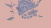 2021-02-12_13.27.44.png
