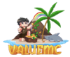 valuemc.png