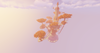 2021-02-23_12.36.46.png