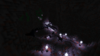 2021-02-02_12.53.03.png