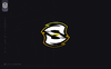 V2.png