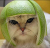 unknown.png