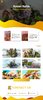 Raisen Builds – 1.jpg