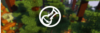 sterixfeed-2.png