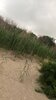 D55948D6-0C1C-4ED3-A0B0-A592D90E695F.jpeg