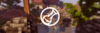 sterx.png