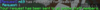 helpop1.png
