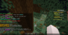 E2FF5C66-BB89-4DAF-9B26-763FC33355BB.png