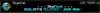 unknown-51.png