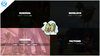 showcase03.png