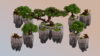 FOREST - RENDER.png