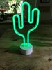 Cactus.jpg