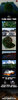 Flora Terrain Thread2.jpg