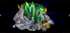 LOGO wm.PNG