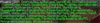 Capture.PNG