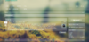 home.PNG
