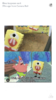 IMG_2716.PNG