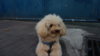 DSC00908.JPG
