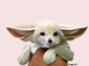 IMG_0135.PNG