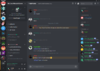 Discord 1.PNG