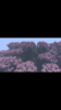 IMG_0561.PNG
