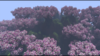 IMG_0568.PNG