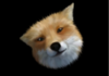 Bigger fox portrait.PNG