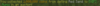 Captura.PNG