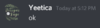 yeetica.PNG
