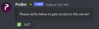 activity.png