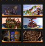 buildportfolio.png