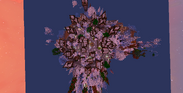 Screenshot_57.png