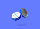 Bottle Cap.jpg