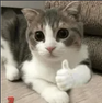thumbing.png