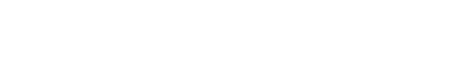 features.png