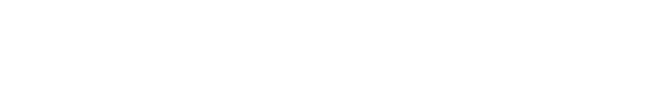 design options.png