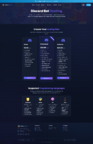 website2.png