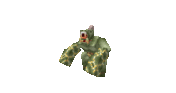 gif3.gif
