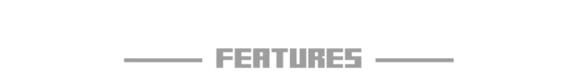 features.png