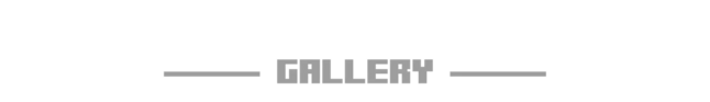 gallery.png