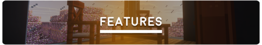 Features-Banner.png
