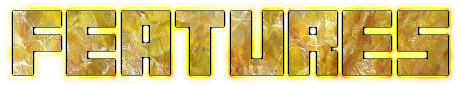 features.png