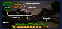 Player Name.png