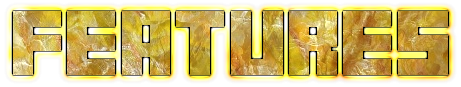 features.png