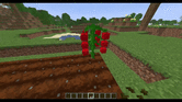 cropbreak.gif