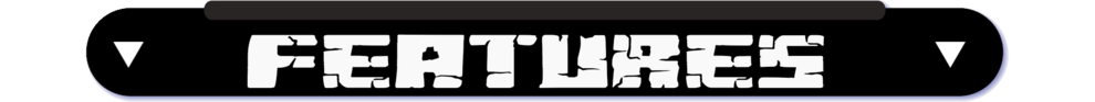 features.png