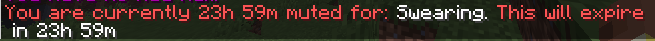 Screenshot 2026-02-05 204206.png