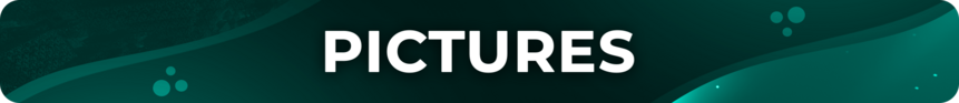 PicturesHeader.png
