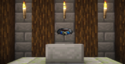 8.png