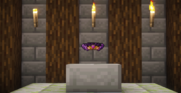9.png